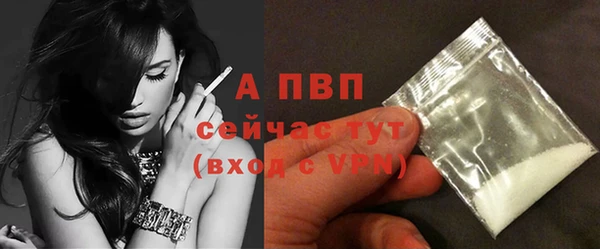 амф Осташков