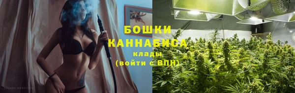 амф Осташков