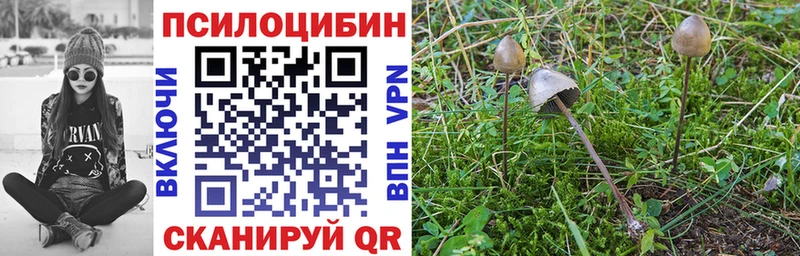 Галлюциногенные грибы мухоморы  Тында 